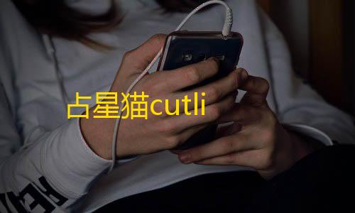 虚拟产品货源渠道占星猫cutli